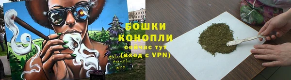 бошки Горняк