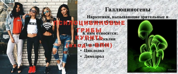 бошки Горняк