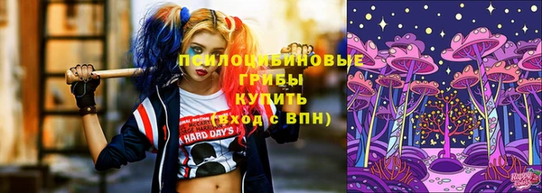 индика Надым