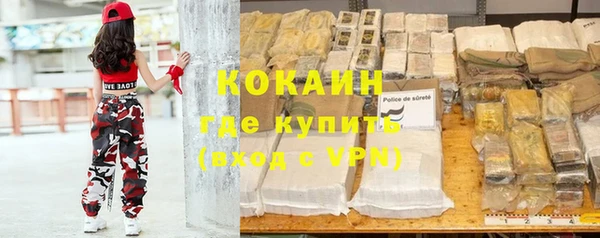 бошки Горняк
