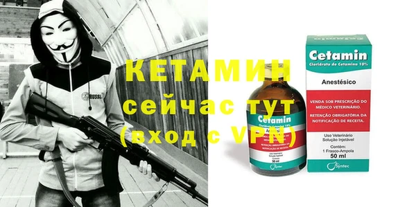 индика Надым