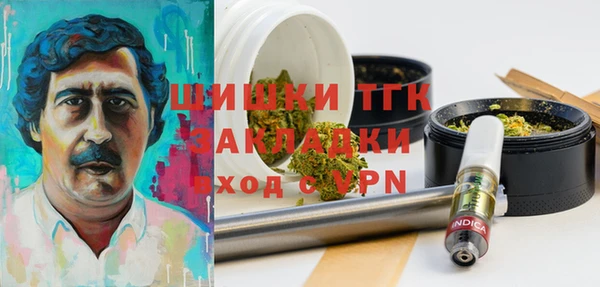 бошки Горняк